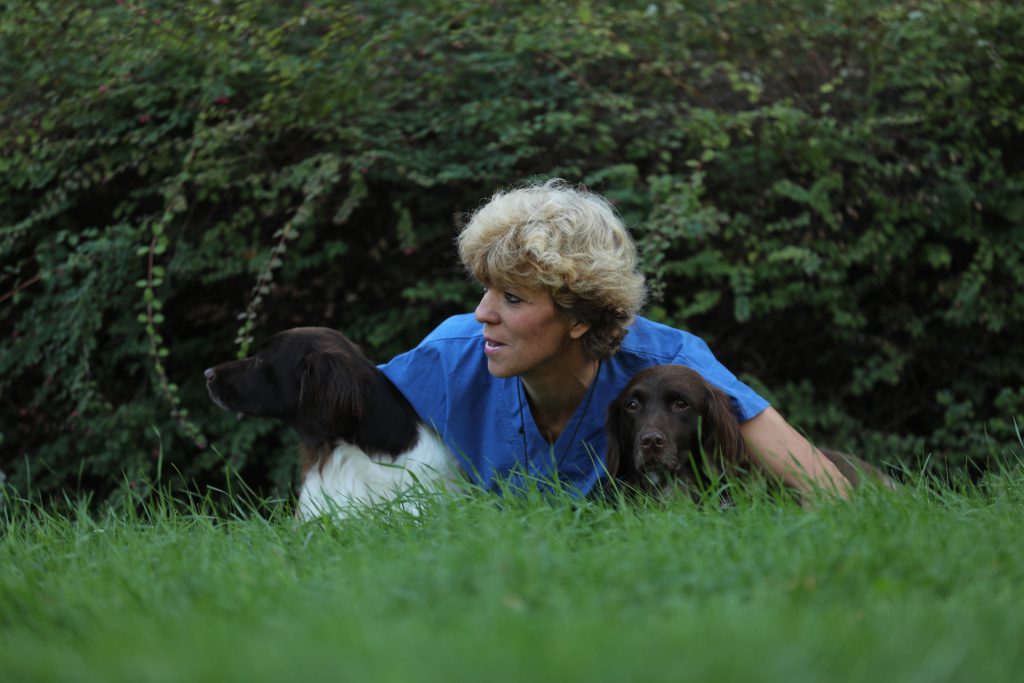 wiese verena hunde